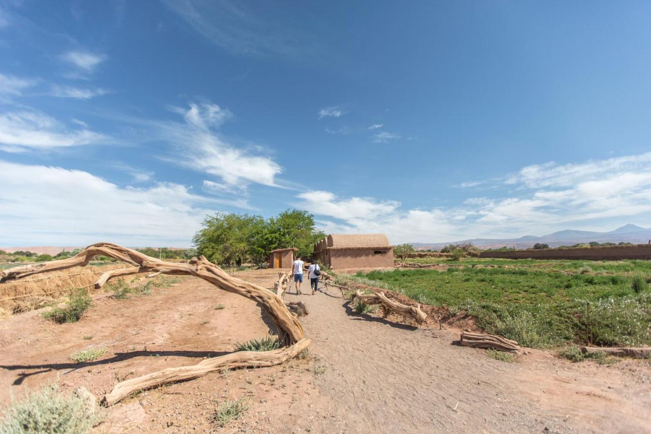 Planeta Atacama Lodge San Pedro de Atacama Exteriér fotografie